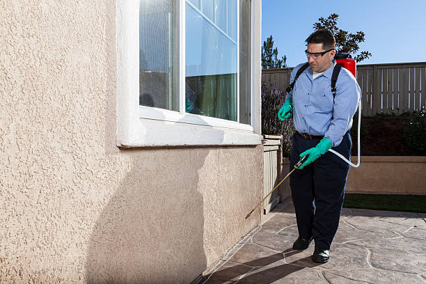 Best Real Estate Pest Inspections  in Lawndale, CA